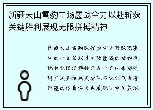 新疆天山雪豹主场鏖战全力以赴斩获关键胜利展现无限拼搏精神